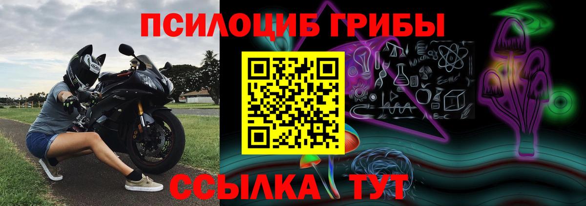 Псилоцибиновые грибы MAGIC MUSHROOMS Пенза