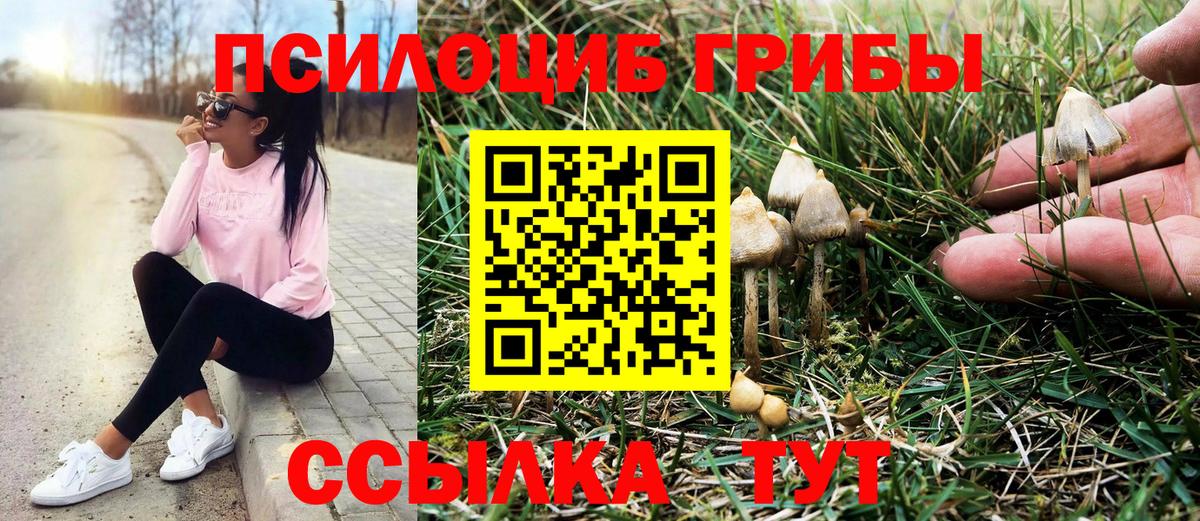 Псилоцибиновые грибы мухоморы  Вход с VPN  Пенза 